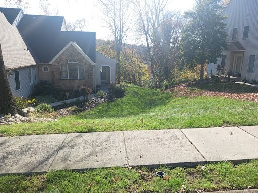 Gallery Images : We Cut Grass and More, LLC.