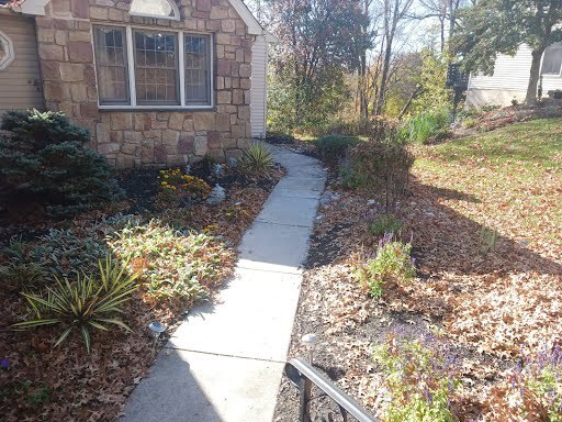 Gallery Images : We Cut Grass and More, LLC.