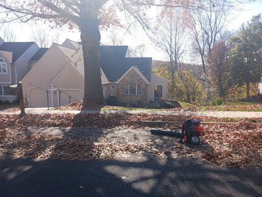 Gallery Images : We Cut Grass and More, LLC.