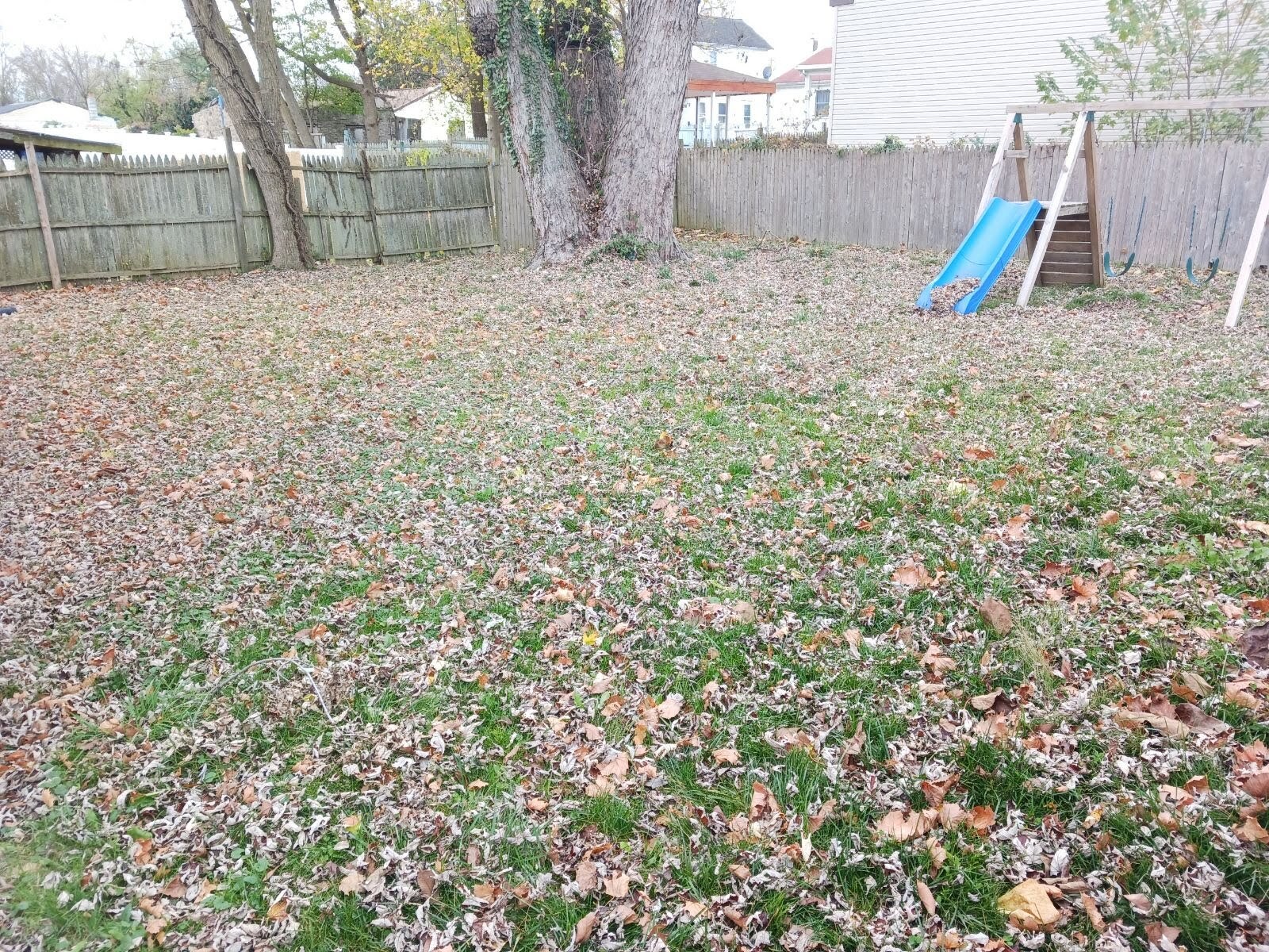 Gallery Images : We Cut Grass and More, LLC.