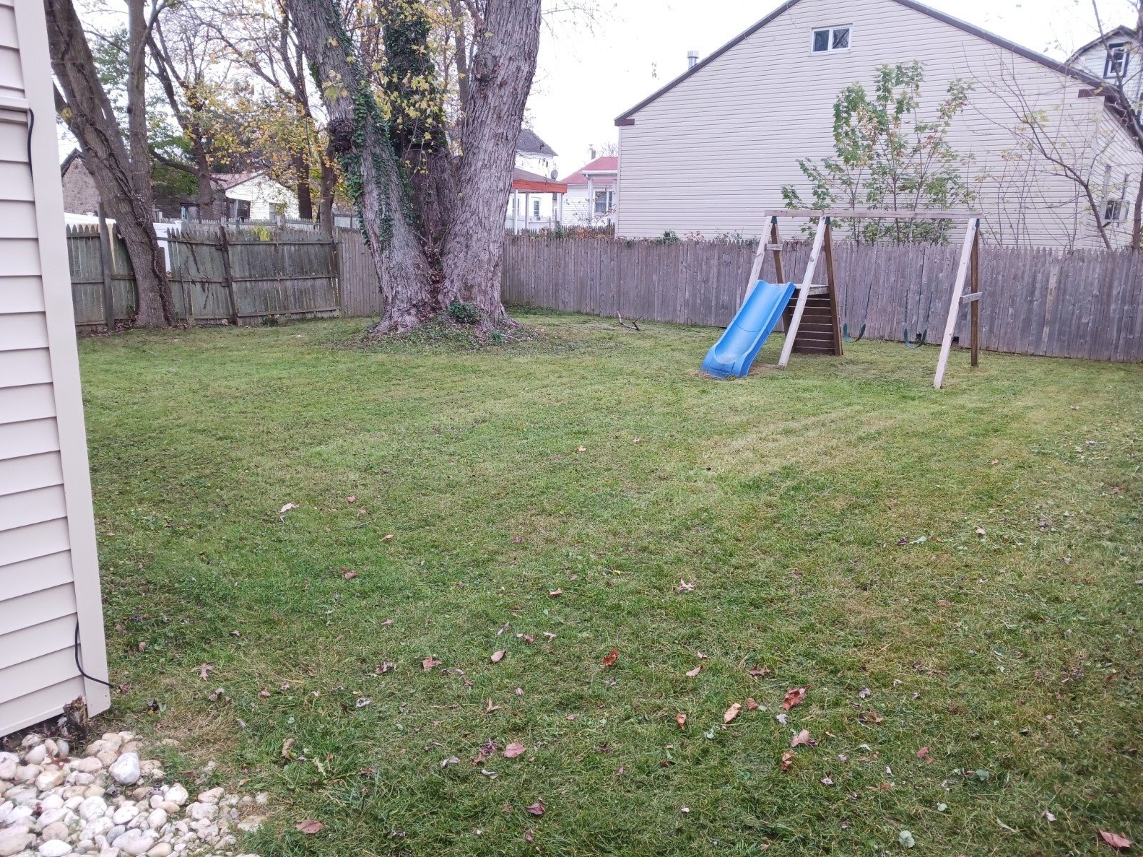 Gallery Images : We Cut Grass and More, LLC.