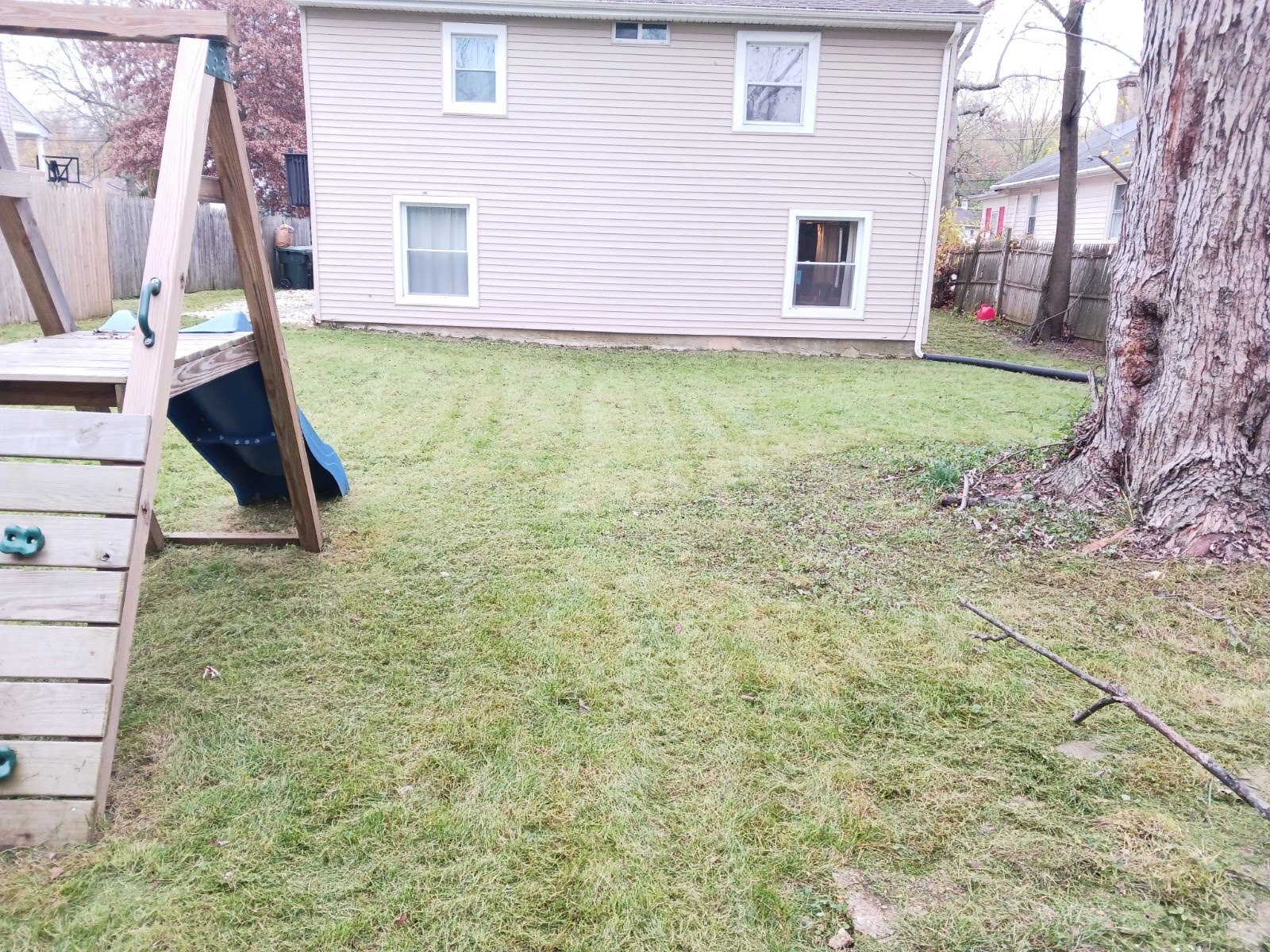 Gallery Images : We Cut Grass and More, LLC.